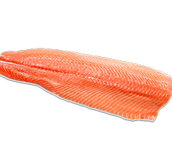 Cá hồi tươi fillet- Fresh Salmon fillet